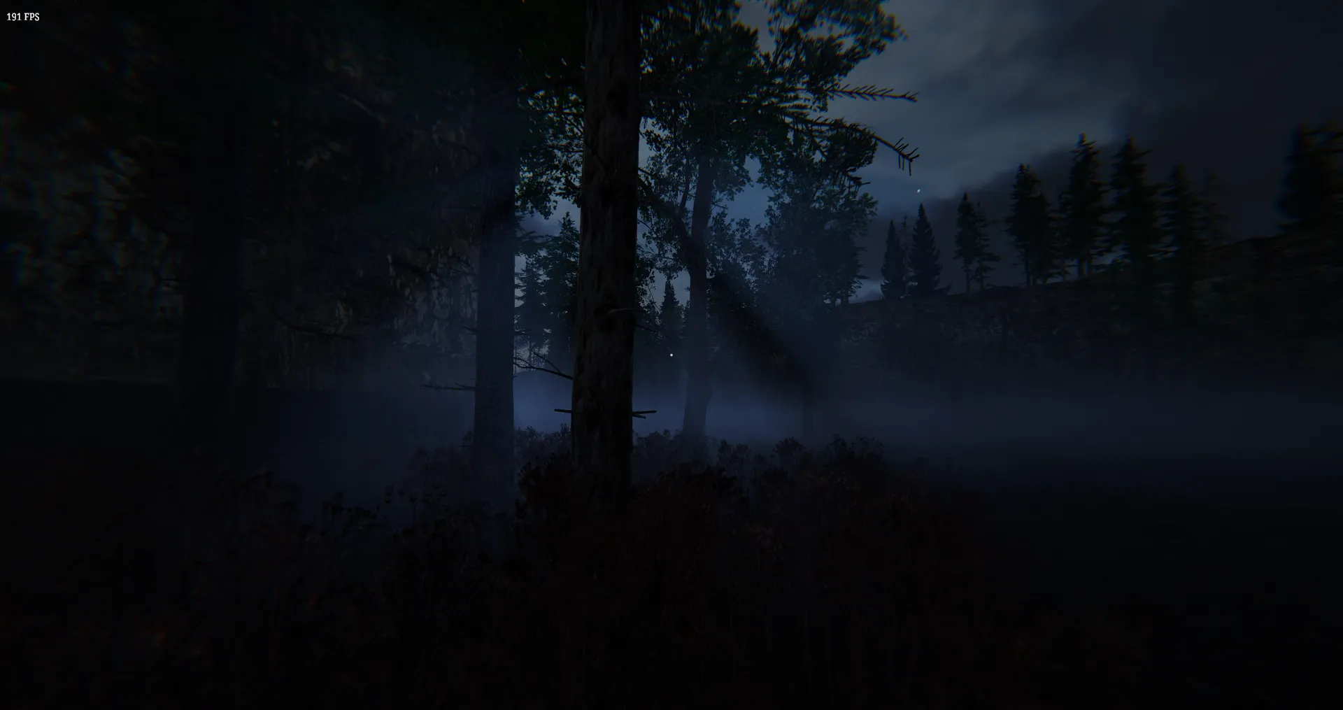 Hollow Despair: The path slice/demo fog shadows through trees